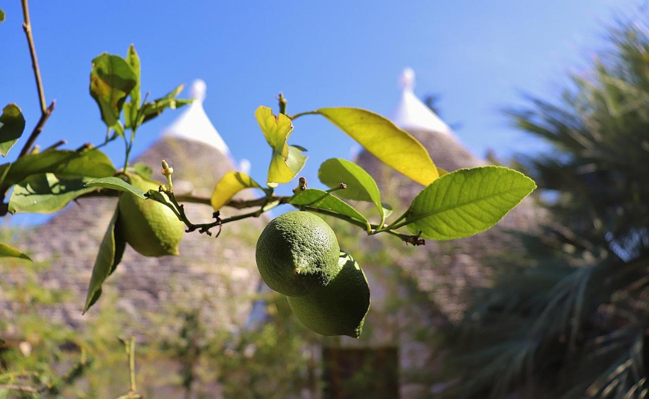Trulli And Nature Antonelli エクステリア 写真