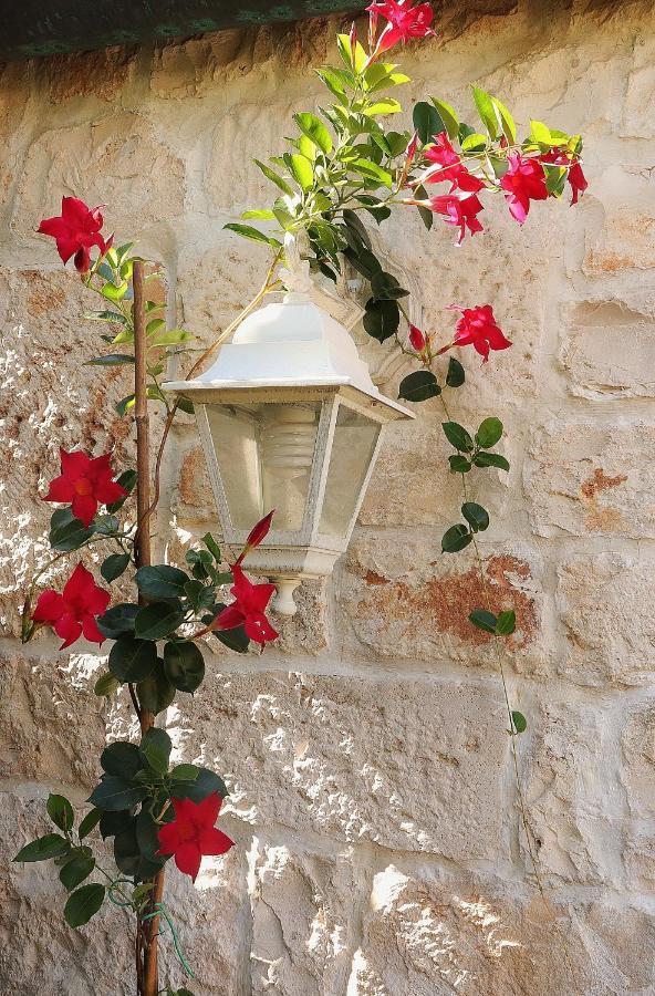 Trulli And Nature Antonelli エクステリア 写真