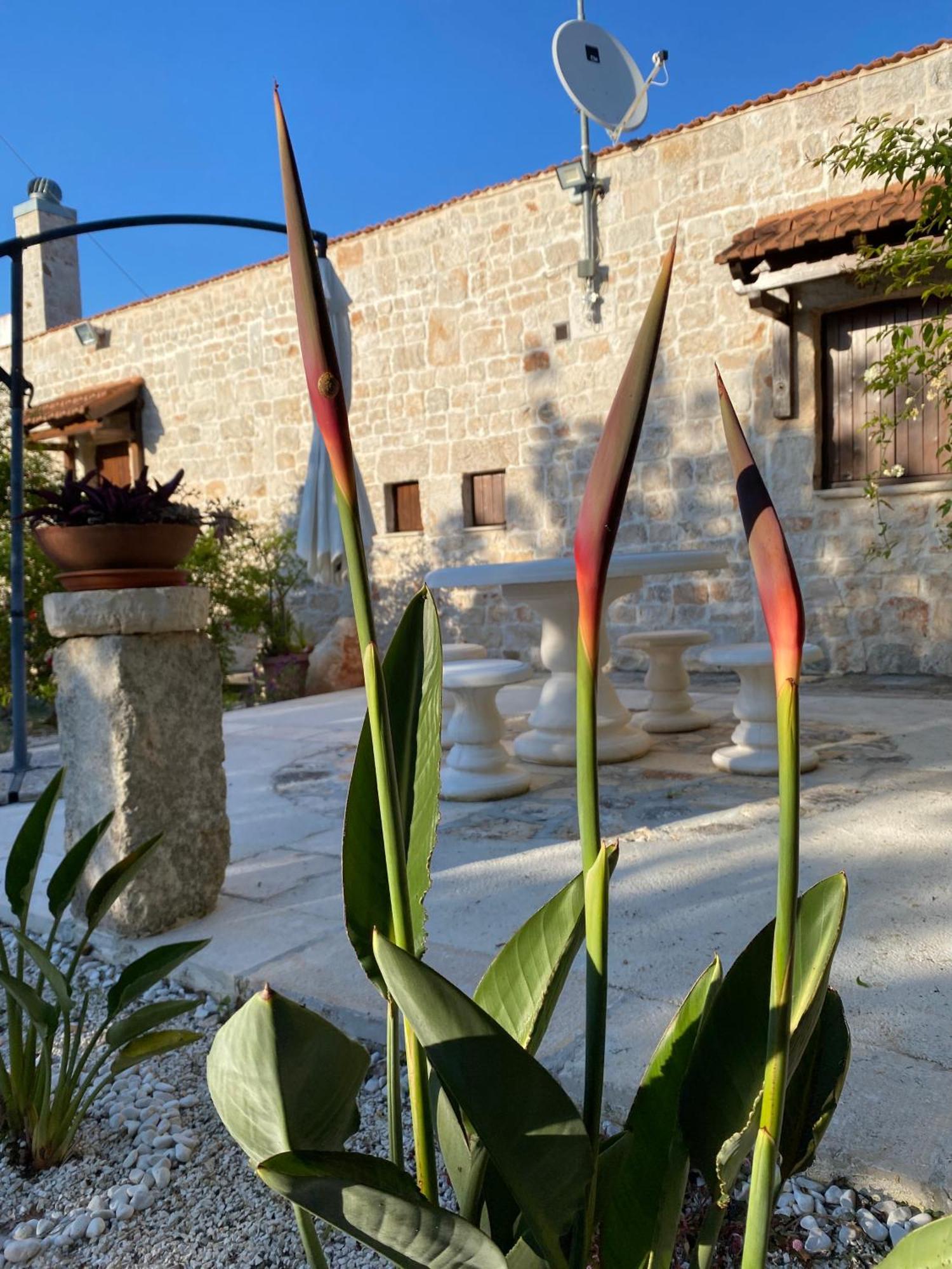 Trulli And Nature Antonelli 部屋 写真