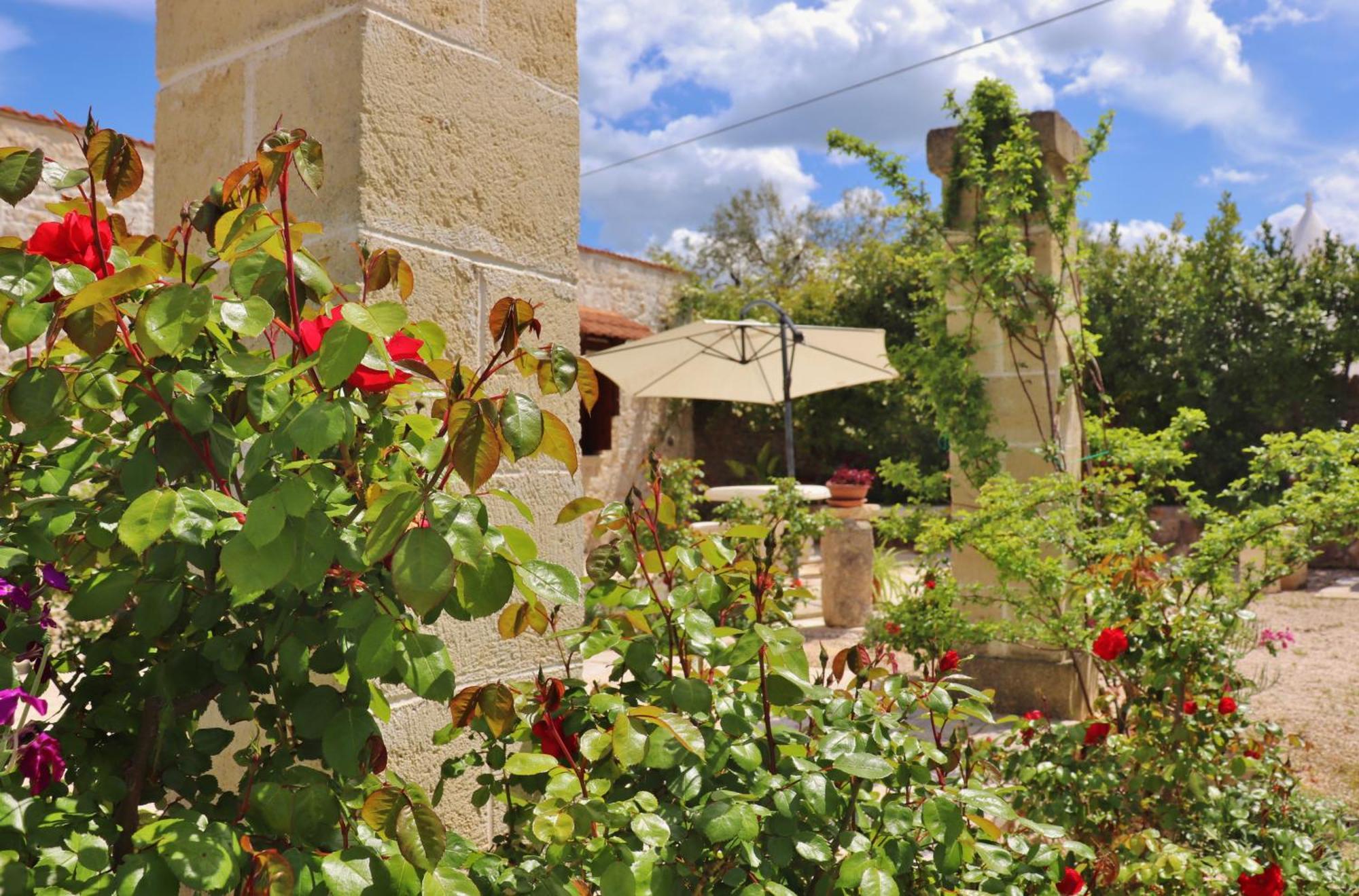 Trulli And Nature Antonelli 部屋 写真