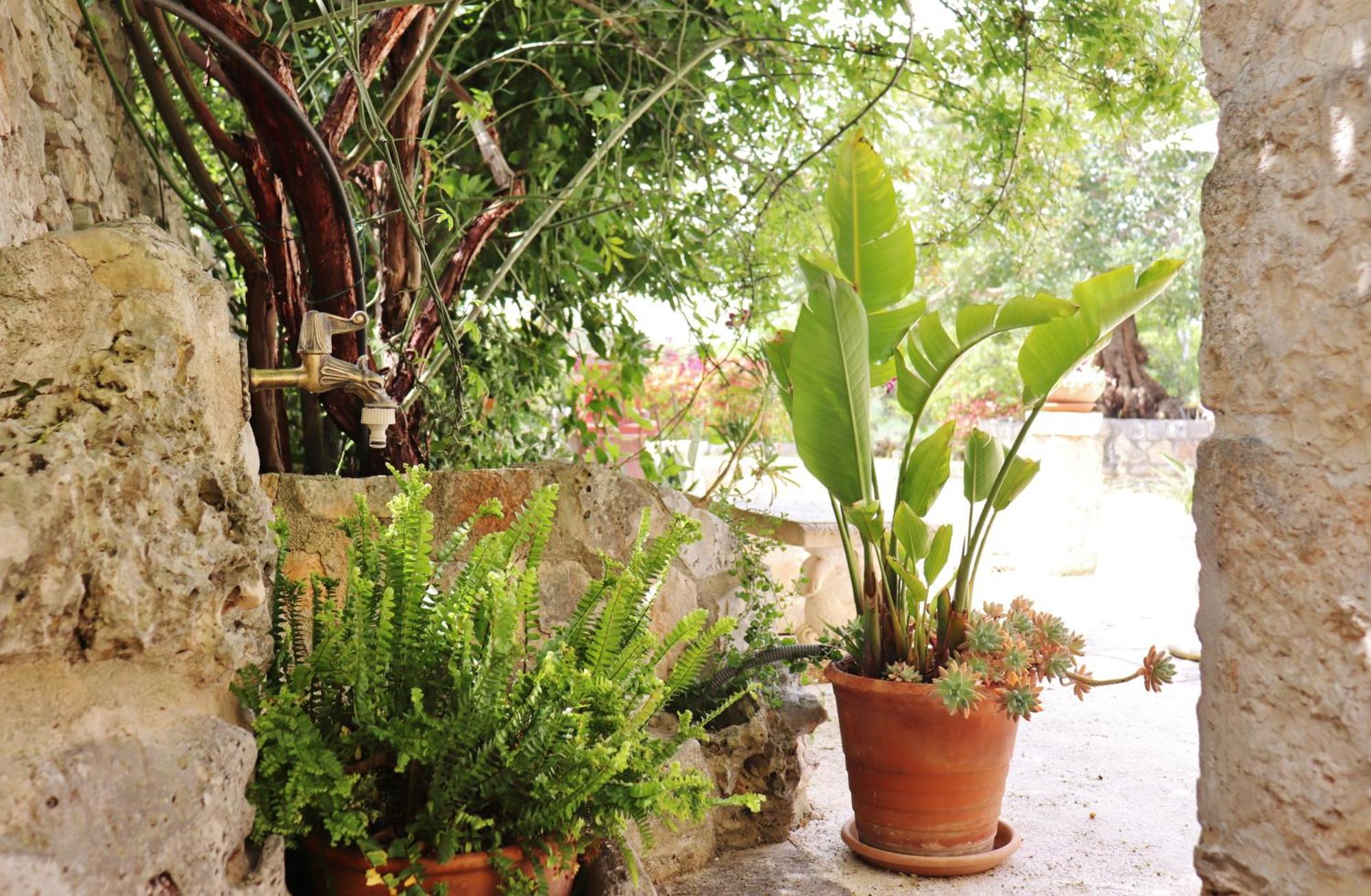 Trulli And Nature Antonelli 部屋 写真