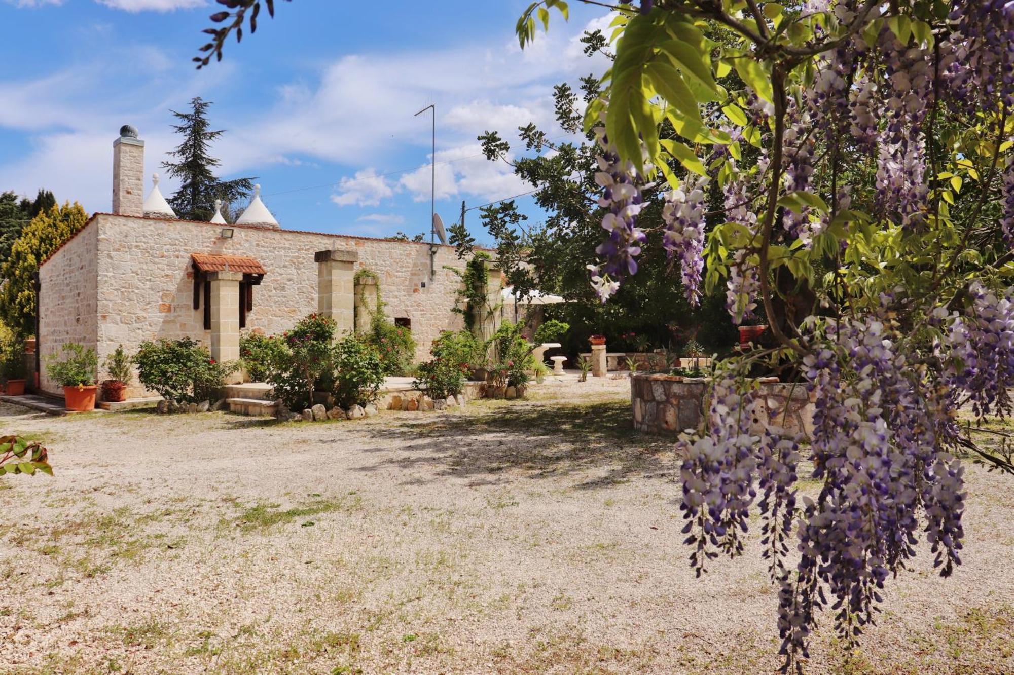 Trulli And Nature Antonelli 部屋 写真