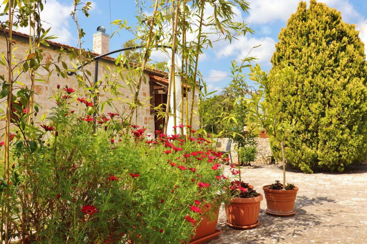 Trulli And Nature Antonelli 部屋 写真