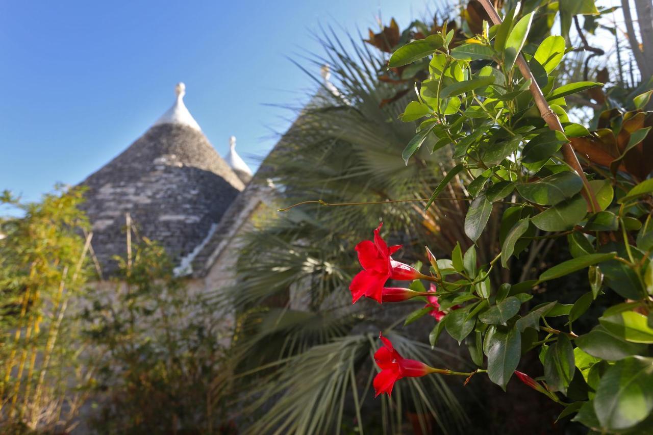 Trulli And Nature Antonelli エクステリア 写真
